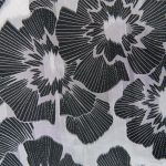 Prairiepath.shop7c4a0eda0c 4