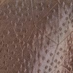 Prairiepath.shopcdbb3834ff 5